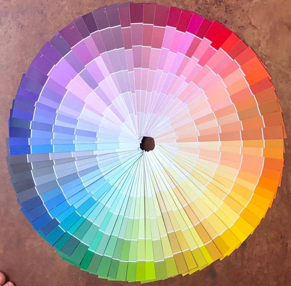 “Signs of the wild” carpet